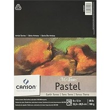 Starseven Mi-Teintes Pastel Pad, Earth Tones, 23CM x 30CM Fold Over