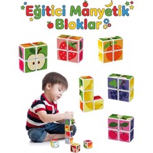Craftivio Eğitici Manyetik Küpler - Mıknatıslı Zeka Blokları - 4 Parça Meyve Temalı 3 Boyutlu Puzzle