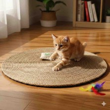 Kedi Tırmalama Oyun Halısı