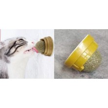 Just Cheap Store Kedi Nanesi Topu