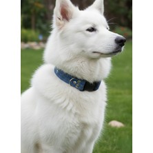 Balkonda Köpek Boyun Tasması Ayarlanabilir Büyük Irk 2,5 cm Genişlik Kot