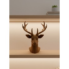 Hopinip Dönüştürücü Hub – Kompakt, Dayanıklı ve Yüksek Hızlı Bağlantı - Lisinya