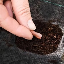 Yabani Ot Bariyer Matı - Lisinya