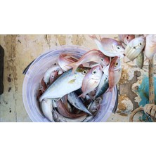 Misina 300M Polietilen Microfiber 2.0 Ip Misina Yeşil - Lisinya