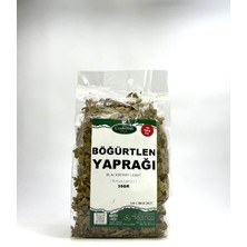 Böğürtlen Yaprağı 35GR