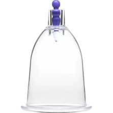 Noip Hacamat Kupası - 3 Numara (10 Tane) (925)