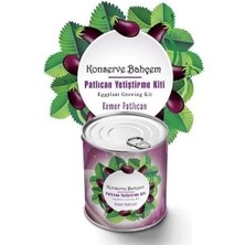 Arthurs Konserve Bahçem Evde Konservede  Kemer Patlıcanyetiştirme Kiti