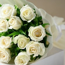 MutluPaket Tüplü Kordes Rosen White Masquerade Yediveren Gül Fidanı