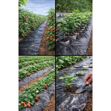 İskar Plastik Procover Malç Naylonu /1000 METRE/90 CM/30 MİKRON/Deliksiz/Siyah