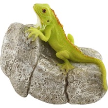 Shop A Way Minyatür Peri Bahçesi ve Teraryum Kaya Heykeli Üzerinde Iguana