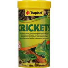 Shop A Way Tropical Crickets Kurutulmuş Balık Yemi 250ML 25GR
