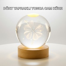 Aksiyon Global Ev ve Parti Için Masaüstü Bluetooth Disko Topu Işık Gösterisi - Lisinya