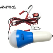 Aksiyon Global Noel ve Parti Dekorasyonu Için 2x2 LED Perde Işık – 8 Fonksiyonlu - Lisinya