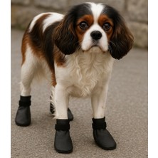 By Lily Köpek Ayakkabısı, Su Geçirmez, (Xs,s,m,l,xl)