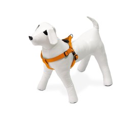 Hype Store Kilitli Göğüs Tasma, Köpek, S, 25-45 Cm, Turuncu