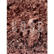 Hype Store Ithal Sphagnum Bitki Yetiştirme Torfu - Böcek Sinek Yapmaz Premium Kalite 10 Lt