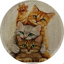 Hype Store Desenli Çift Taraflı Kedi Tırmalama Paspası Yuvarlak Yellow 36 * 36 cm