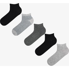 Penti Erkek Renkli Urban Mix 5'li Patik Çorap