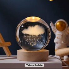 Efe Avm Evcil Hayvanlar Için Tüy Dökülme Önleyici Eldiven – Masaj ve Temizlik Için Yumuşak Silikon Uçlu - Lisinya