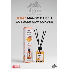 Ilgaz Reed Dıffuser 110 ml Mango Oda Kokusu Tropikal Oda Parfümü Bambu Çubuklu Oda Kokusu