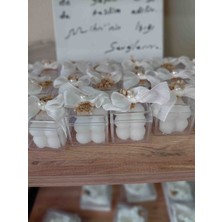 Mihrinin Işığı Mumum