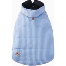 Moncler Özel Tasarım Çift Taraflı Kullanım, Çizgili Mavi Köpek Montu