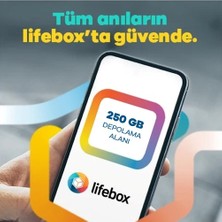 Lifebox 12 Aylık 250GB