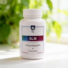 Smartcaps  Slm Akkermansia Muciniphila & Garcinia Cambogia Extract 60 Kapsül