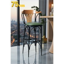 Dengema Bar Sandalyesi Yeşil-Kahve Renkli 169 / 75   cm   - Oturma Yüksekliği 75  cm  - Metal İskelet - Deri Oturum - Ahşap Sırt ve Kolçak