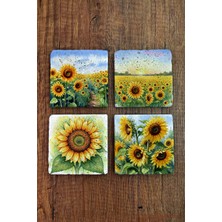 Begoloni Doğal Taş Bardak Altlığı - Papatya Desenler Baskılı Bardak Altlığı 10X10CM Ai Stone Coasters 574