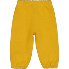 Civil Baby Düz Basic 6-18 Ay Eşofman Altı - Hardal