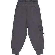 Civil Boys Cebi Kaplan Nakışlı 2-5 Yaş Eşofman Altı - Gri