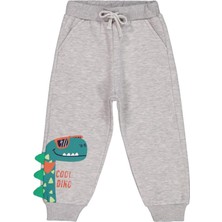 Civil Boys Dino Baskılı 2-5 Yaş Eşofman Altı - Gri