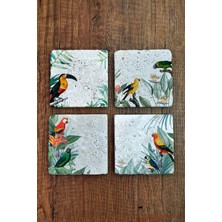 Begoloni Doğal Taş Bardak Altlığı 4'lü Set 10X10X1 cm Tropikal Kuşlar Baskılı Stone Coasters