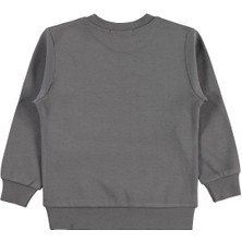 Civil Boys Baseball Baskılı 2-5 Yaş Sweatshirt Km - Gri