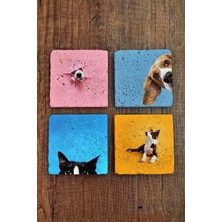 Begoloni Doğal Taş Bardak Altlığı Renkli Kedi ve Köpek Baskılı 4'lü Set