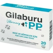 Crystalin Gilaburu Ekstraktı Kedi Köpek Takviyesi 20 Kapsül (Doğal Idrar Söktürücü ve Böbrek Sağlığı)