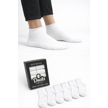 Ducks Socks Erkek 6'lı Pamuklu Kutulu Lastiksiz Siyah Dikişsiz Esnek Kısa Konç Sıkmayan Çorap