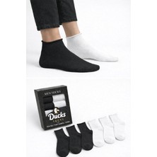 Ducks Socks Erkek 6'lı Pamuklu Kutulu Lastiksiz Siyah Dikişsiz Esnek Kısa Konç Sıkmayan Çorap