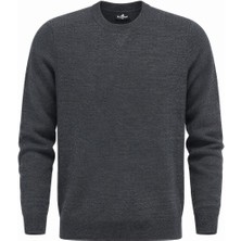 Plus Scorpion Erkek  Triko Kazak – Bisiklet Yaka, Regular Fit, Dört Mevsim