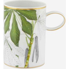 Vista Alegre Amozonia Yeşil Porselen Kupa 400 ml