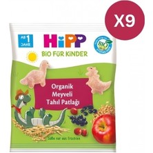 Hipp Organik Meyveli Tahıl Patlağı 30 gr x 9 Adet
