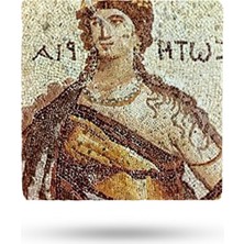 Begoloni Doğal Taş Nihale 20X20CM Zeugma Mozaik Baskılı Taş Çaydanlık Altlığı-Tencere Tava Altlığı