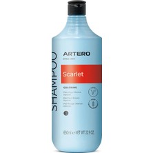 Artero Scarlet Poodle Irkına Özel Renk Arttırıcı Şampuan 300 ml
