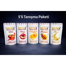 Drynex Dondurularak Kurutulmuş Meyve 20GR X5'li Paket