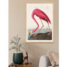 Evine Moda Flamingo Tek Parça Ahşap Çerçeveli Tablo