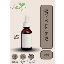 Aselya Okaliptus Yağı 20 ml – Saf Doğal Uçucu Yağ | Cilt Bakımı, Masaj ve Aromaterapi