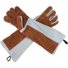 Pet Grooming Veteriner ve Klinik Kullanımı Için Kedi Tutma ve Yakalama Eldiveni 60 cm