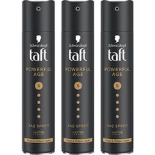 Taft, Powerful Age, Saç Spreyi - 250 ml  x 3 Adet