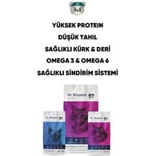 Dr. Blanco Vet Serıes